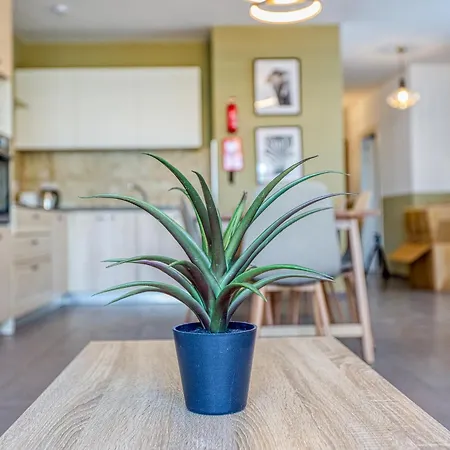 One Of A Kind 5br Penthouse With Terrace In Pieta By 360 Estates * Tal Guardamangia