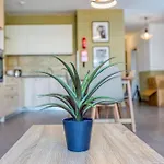 One Of A Kind 5br Penthouse With Terrace In Pieta By 360 Estates * Tal Guardamangia